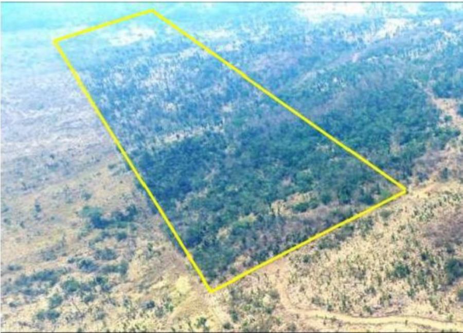 Imagem do imóvel Cacaulândia/RO | 1 Terreno | Área de 24,20 ha | Lote 14B | Gleba 25 | Cacaulândia/RO Leilão Extrajudicial | SICOOB