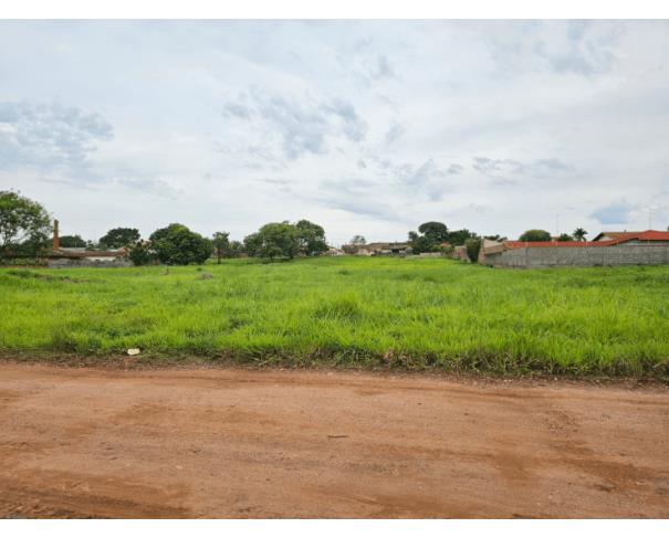 1 Imóvel | Área de 22.971,87 m² | Rua Doutor Alfredo Guedes | Tambau/SP